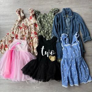 Bundle 6 piece toddler girl size 2T